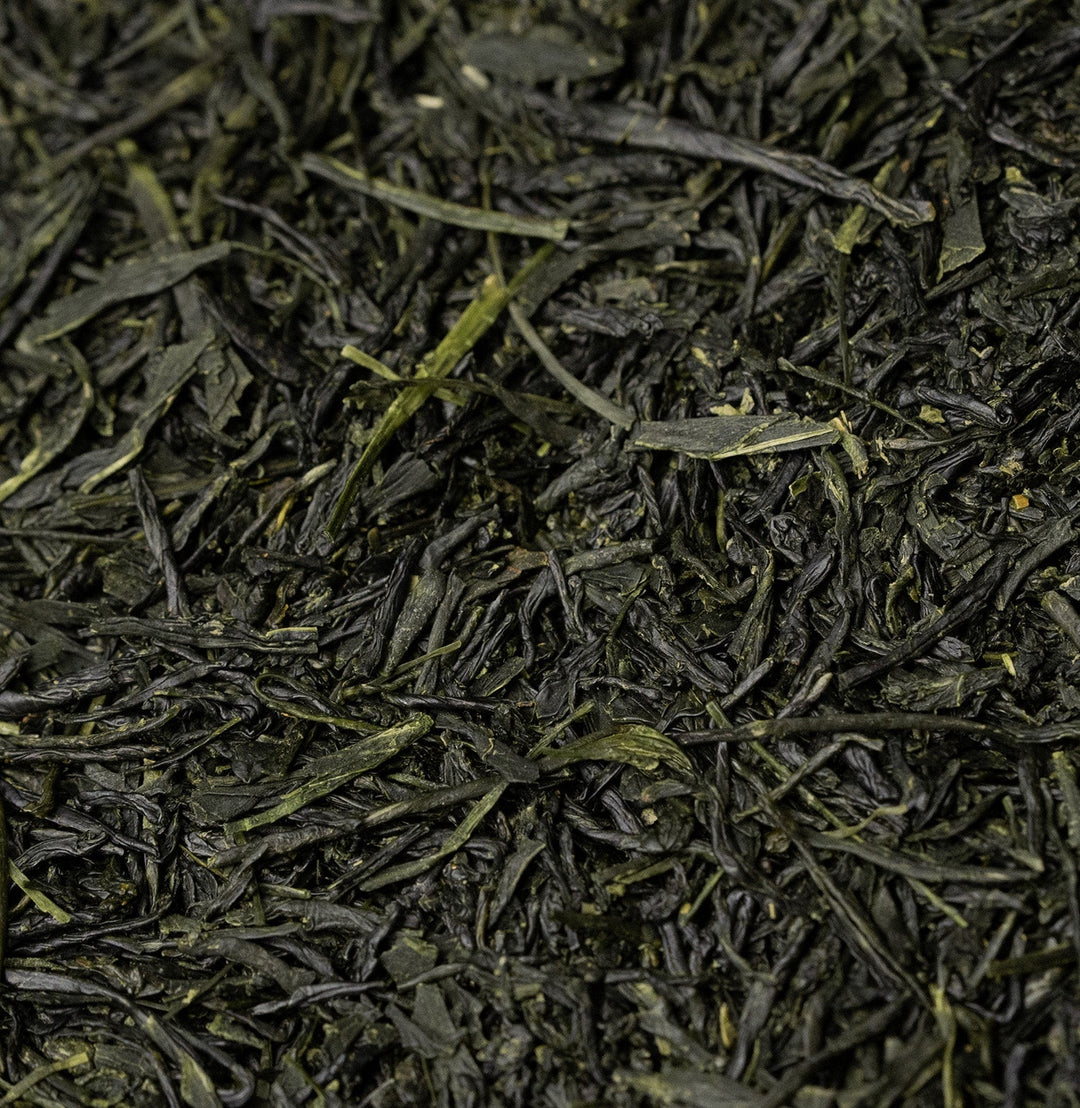 A taste of the first harvest - Shincha 2026: Asamushi Saemidori