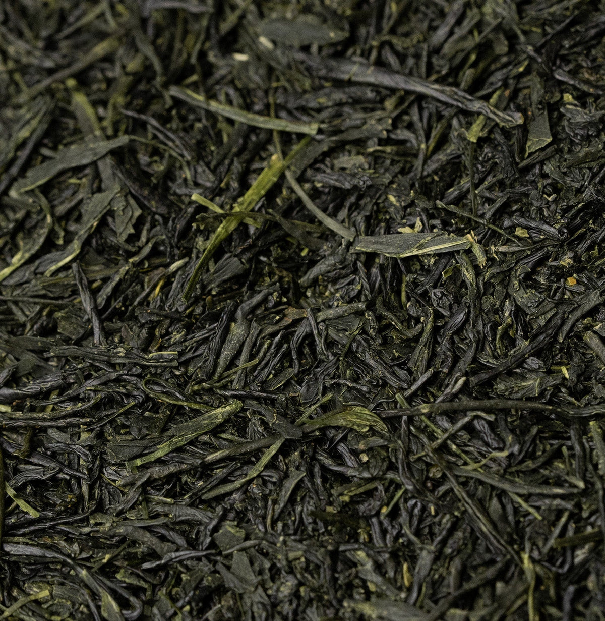 A taste of the first harvest - Shincha 2026: Asamushi Saemidori