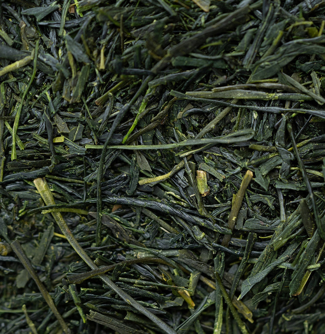 Sencha