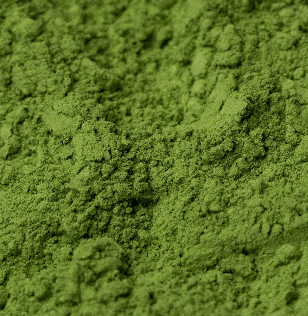 Matcha Ceremony