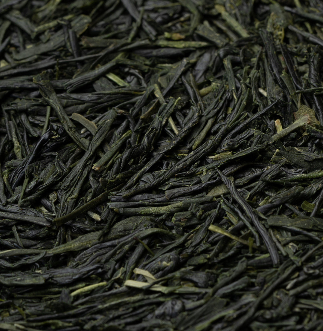 Sencha Fuji - Otsuka, Kakegawa