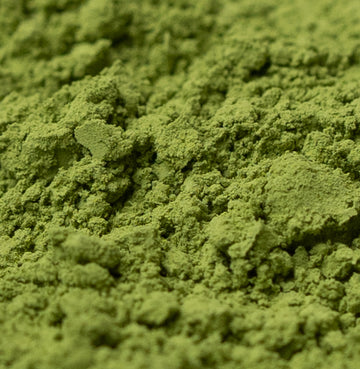 Matcha Ceremonial - Shohokuen, Uji - 0