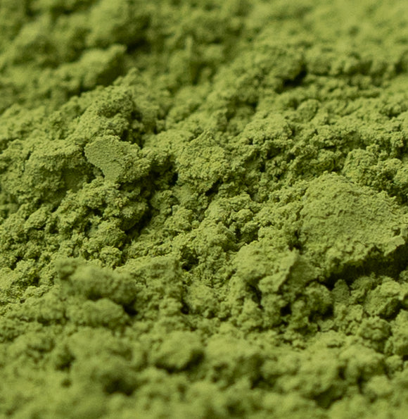 Matcha Ceremonial - Shohokuen, Uji
