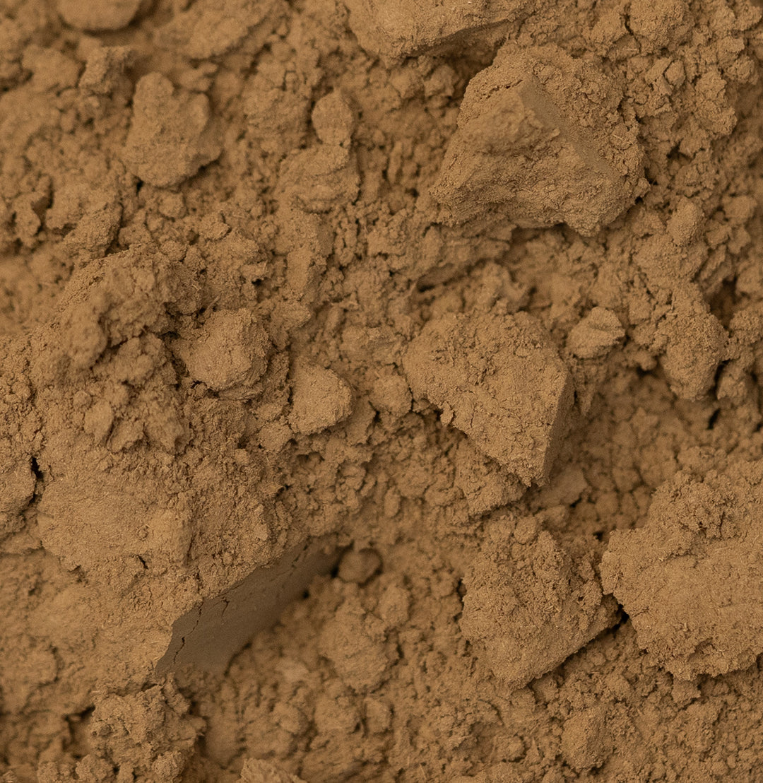 Hojicha powder
