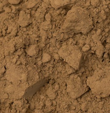 Hojicha powder