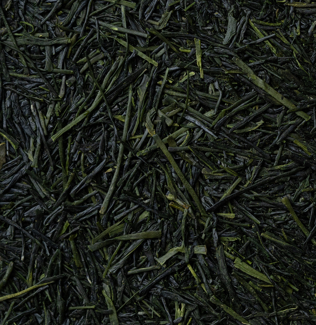 Sencha Okumidori - Otsuka, Kakegawa
