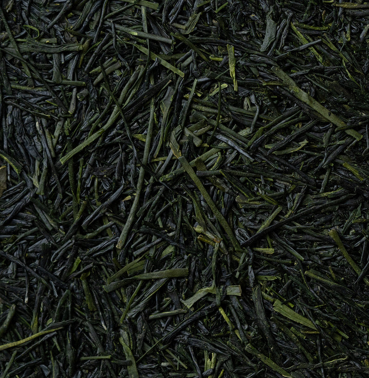 Sencha Okumidori - Otsuka, Kakegawa