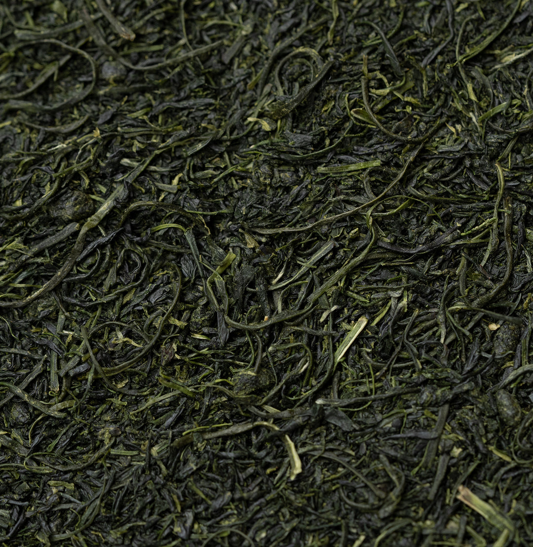 Tamaryokucha Tsuyu - Forthees, Sonogi