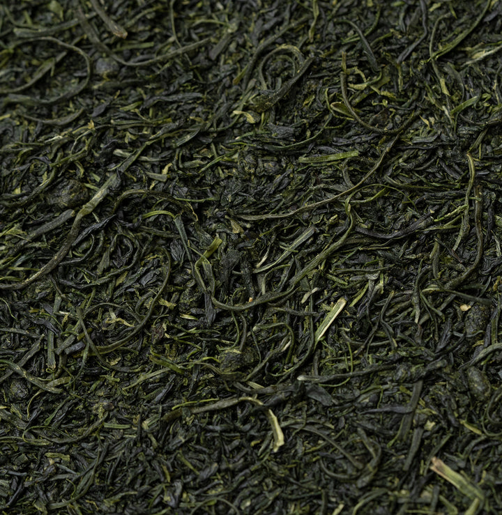 Tamaryokucha Tsuyu - Forthees, Sonogi
