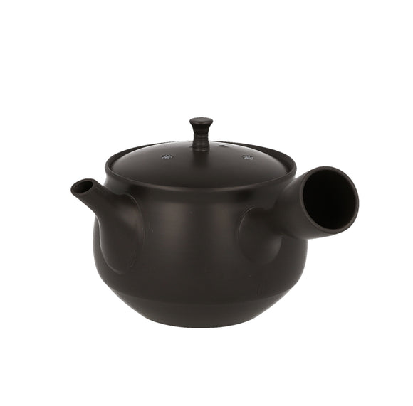 Tokoname Kyusu - Black Hokuryu Sakura - 240 ml