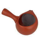 Tokoname Kyusu - Red - 350 ml-3