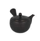 Tokoname Kyusu - Black - 160 ml-1